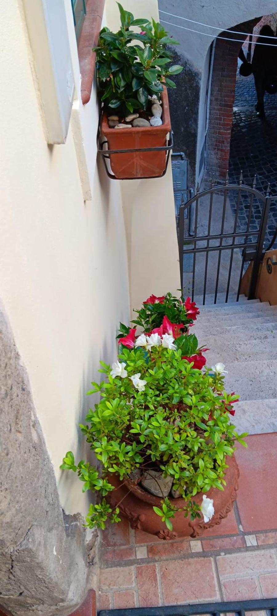 Borgo Boutique Home Near Rome Nettuno Exterior foto